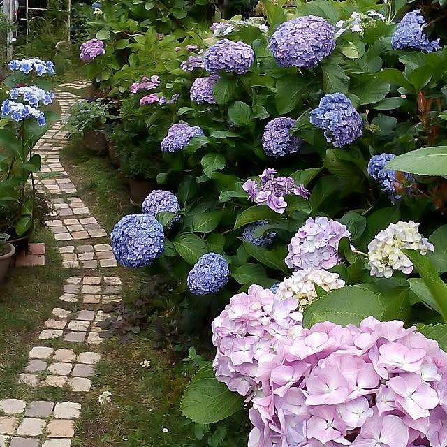 mariagardenさんの実例写真
