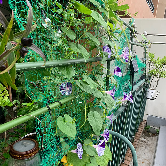 Aqettyさんの部屋