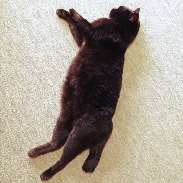shigimiさんの実例写真