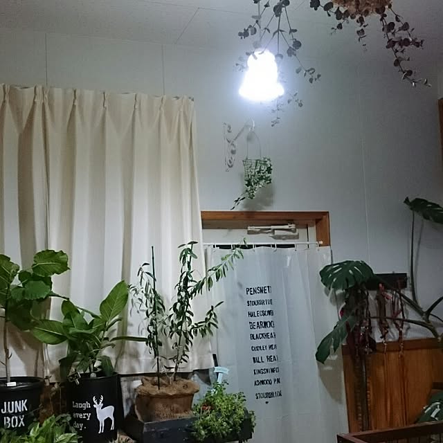 tikuwaさんの実例写真
