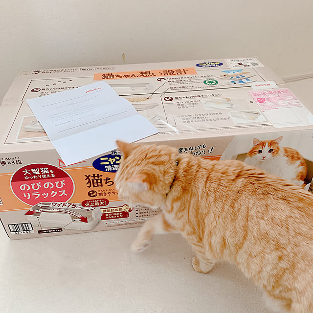yun.mkrさんの実例写真