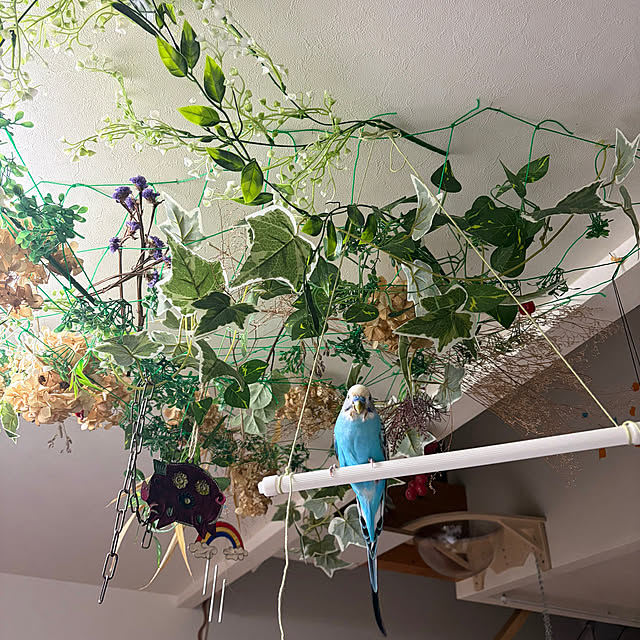 nさんの実例写真