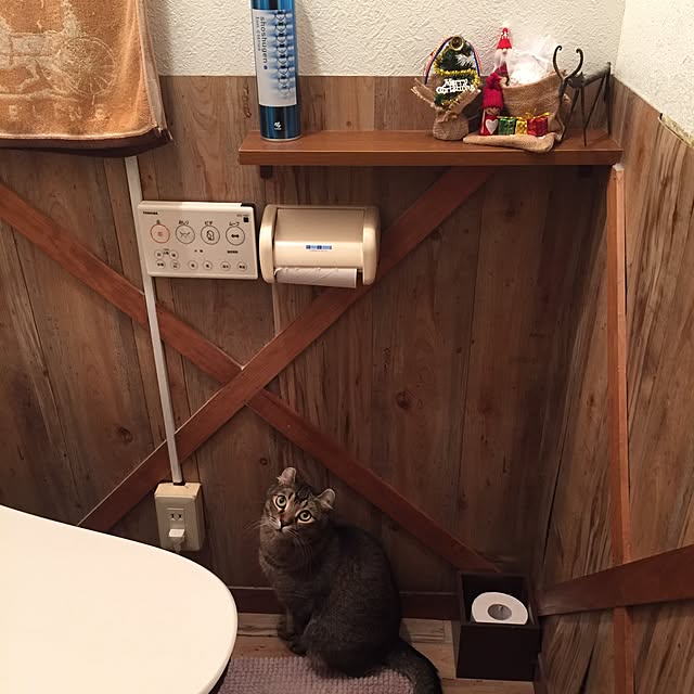 mai-Kさんの実例写真