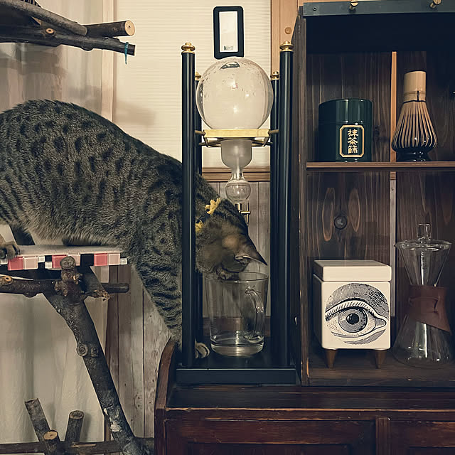 Mさんの実例写真