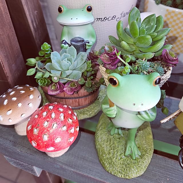 mocomocoさんの部屋