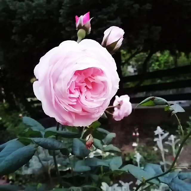 Kinanさんの実例写真