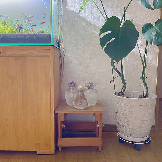 yukaさんの実例写真