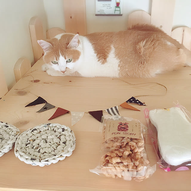 mintcatさんの実例写真