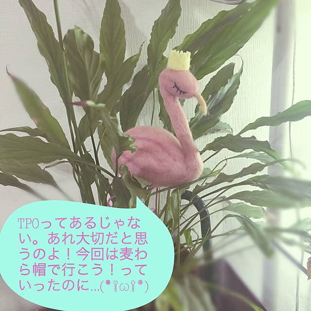 kusuttoさんの実例写真
