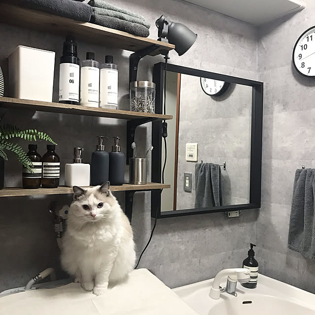 miyuaさんの実例写真