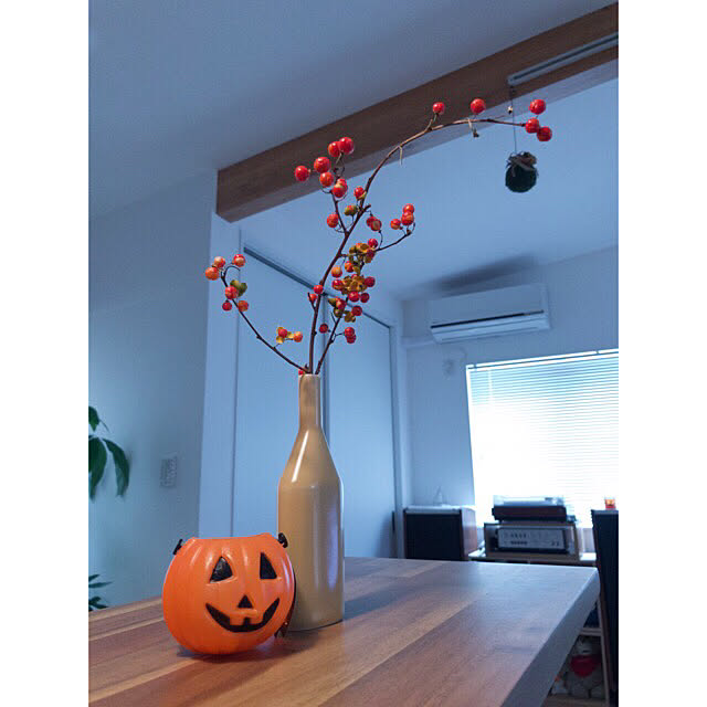 部屋全体/ハロウィン/漆喰壁/塗り壁/カウンターキッチン...などのインテリア実例 - 2018-10-31 18:24:20