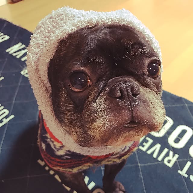 pinokoさんの実例写真
