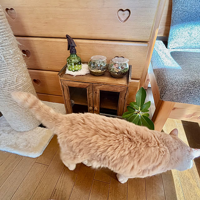 naokoさんの部屋