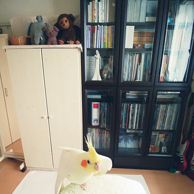 pontaさんの実例写真