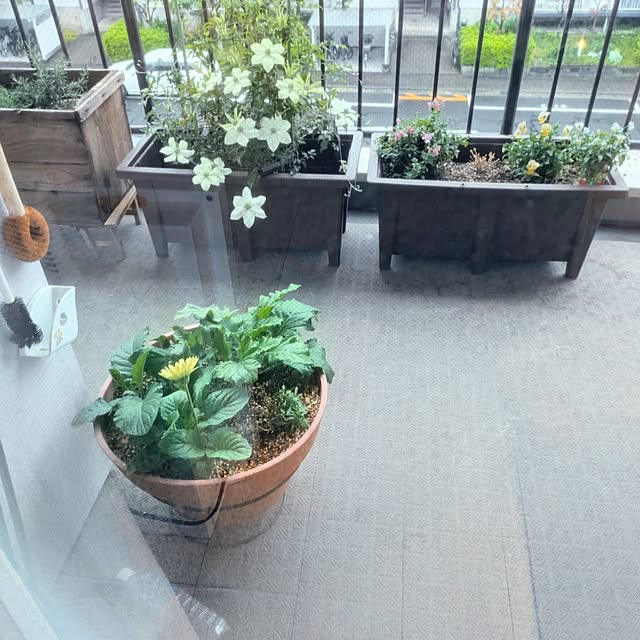 mi-saさんの実例写真