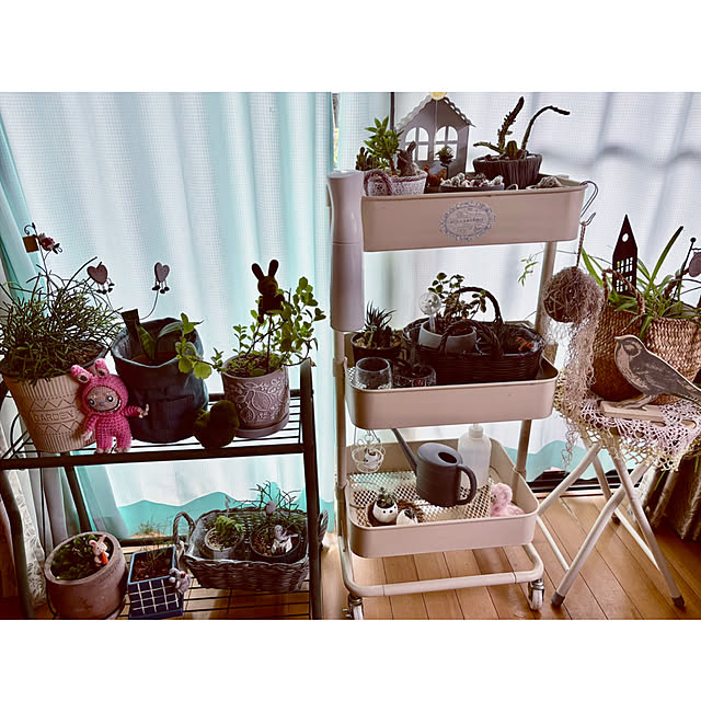 CoCo0617さんの部屋