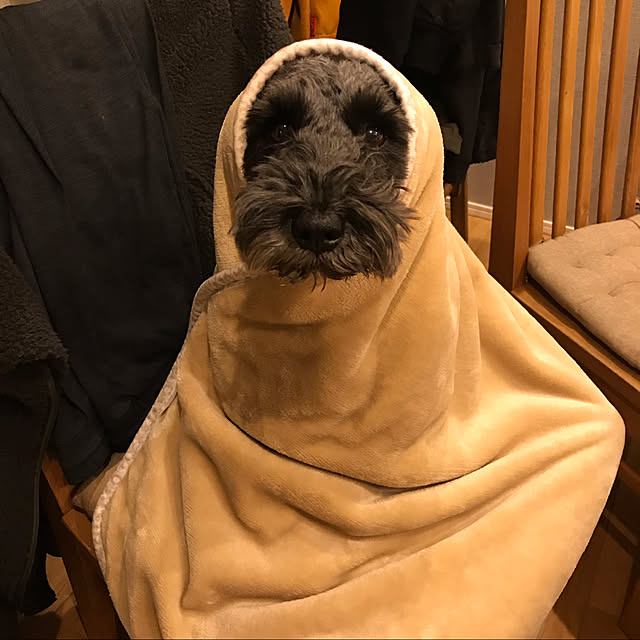 Haruさんの実例写真