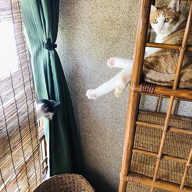 Oreoさんの実例写真