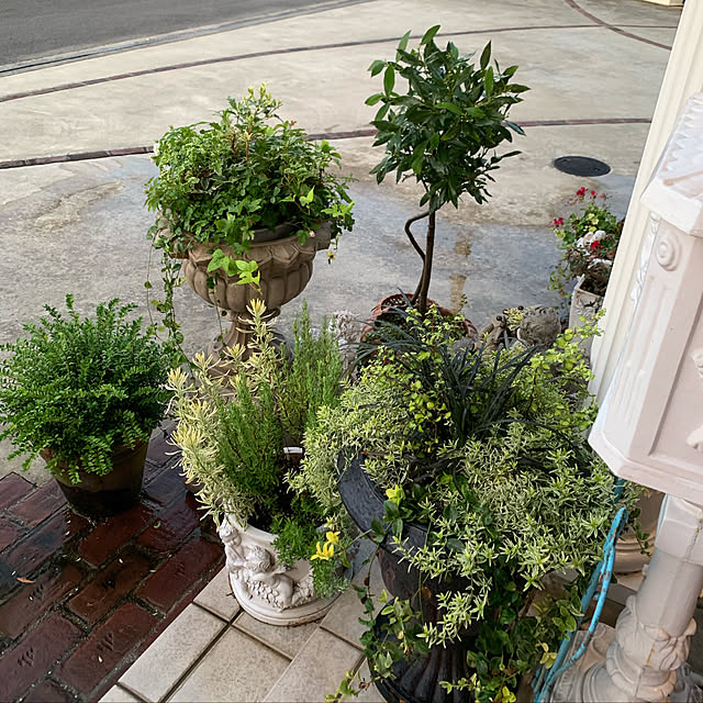 AYUKOさんの実例写真