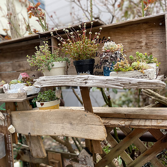 0103_eriさんの実例写真