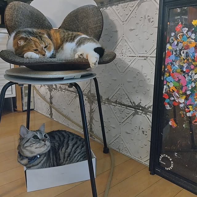 hiro3さんの部屋