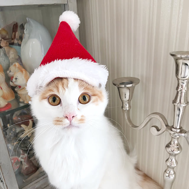 yuchiさんの実例写真