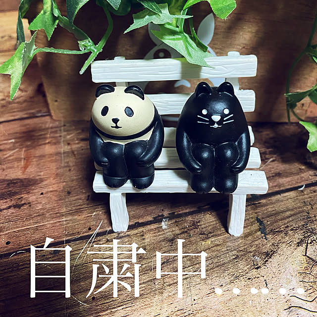 shingoさんの実例写真