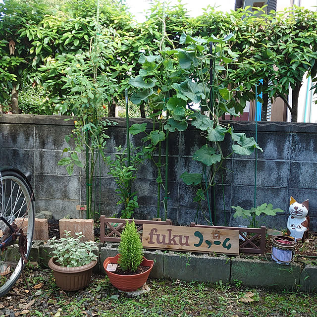 fukuさんの実例写真