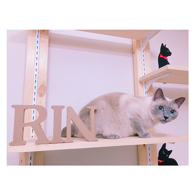 kekeさんの実例写真
