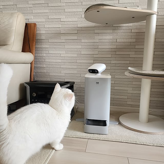 tomatoさんの実例写真