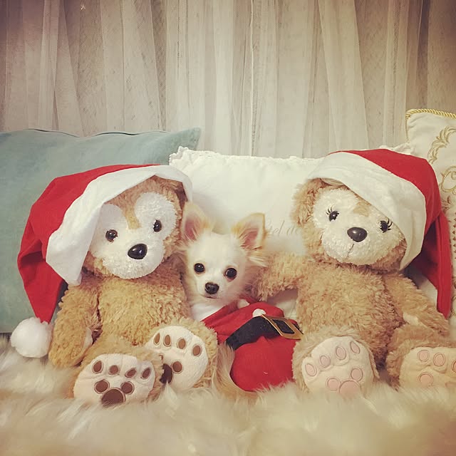 Satsukiさんの実例写真