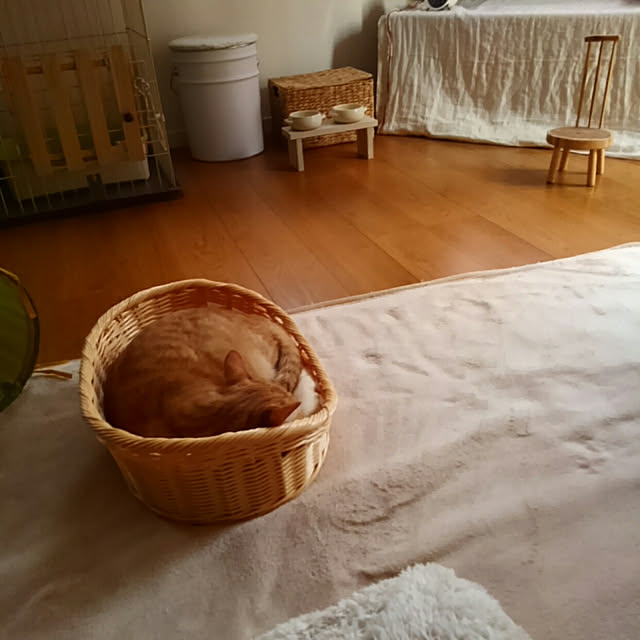mayutan.さんの実例写真