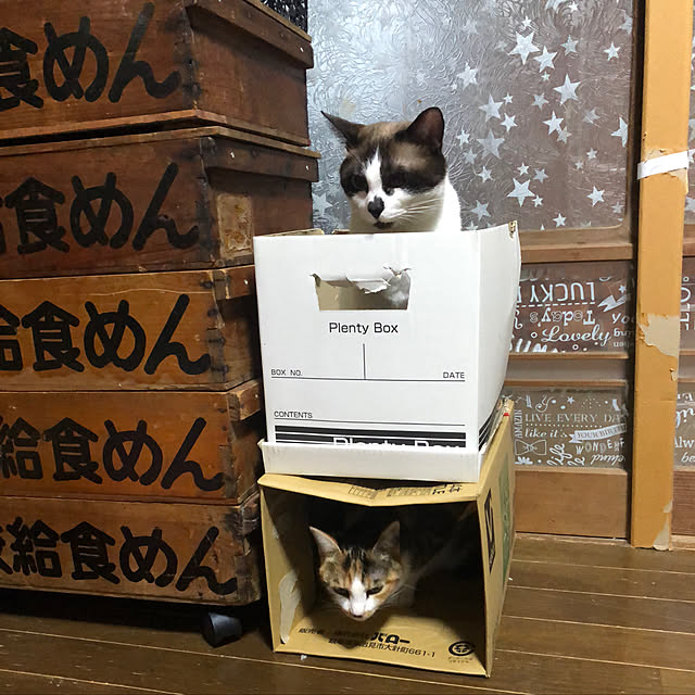 vivienne.coco-keiさんの実例写真