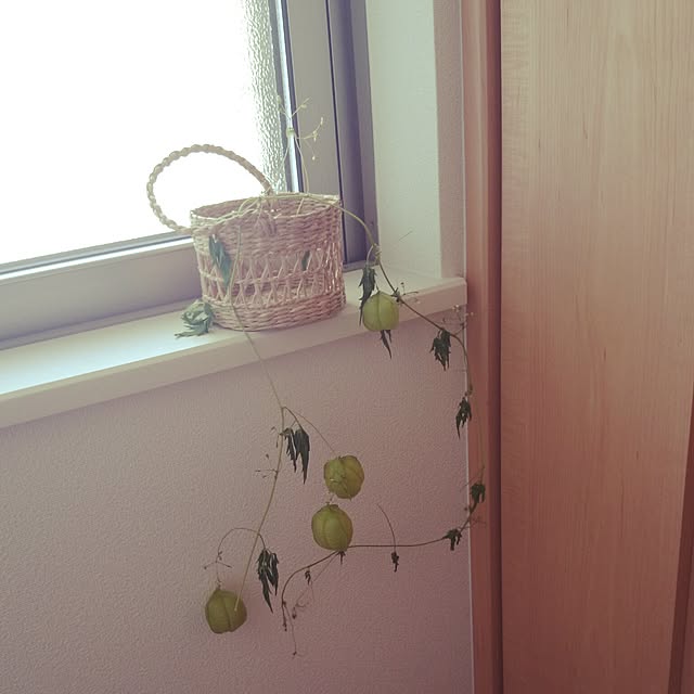 Akieさんの実例写真