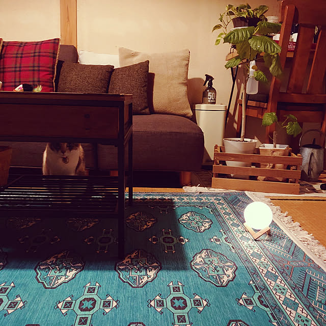 fukuさんの実例写真