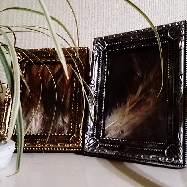 mikaさんの実例写真
