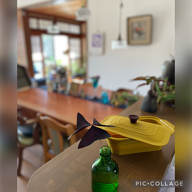 buchiさんの実例写真
