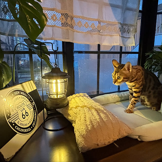 tututu0204さんの部屋