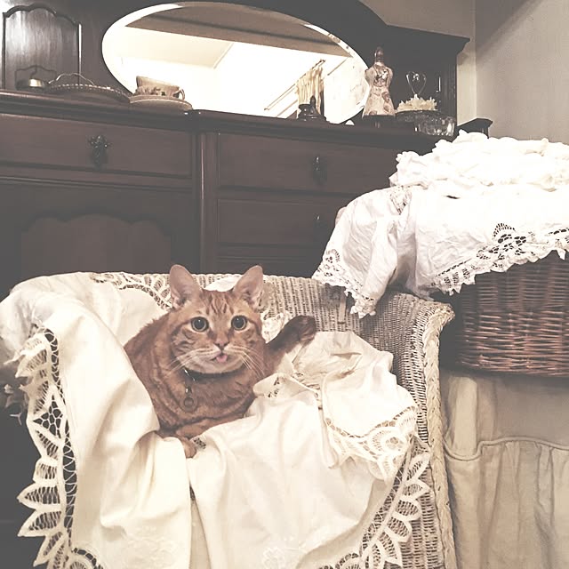 ataさんの実例写真