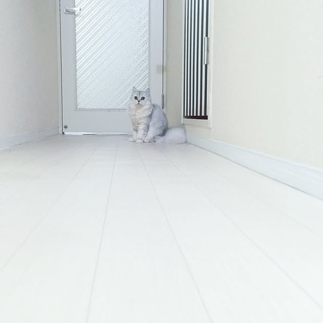 cocoさんの実例写真
