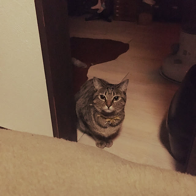 Mさんの実例写真