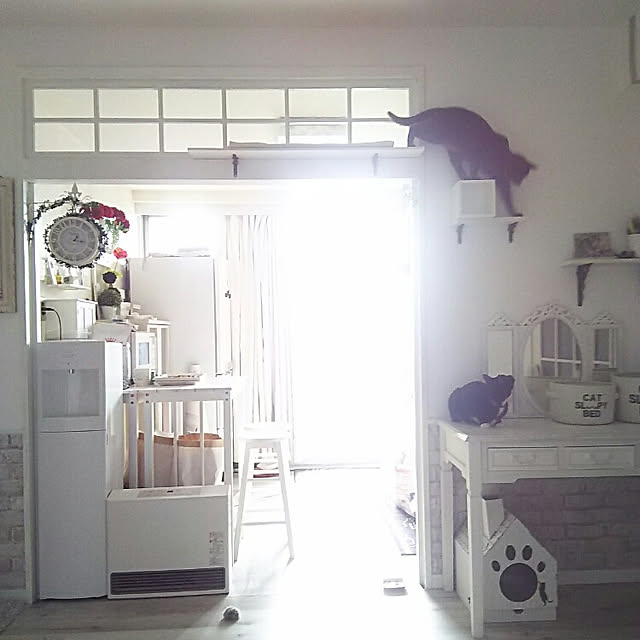 nicopenponさんの実例写真