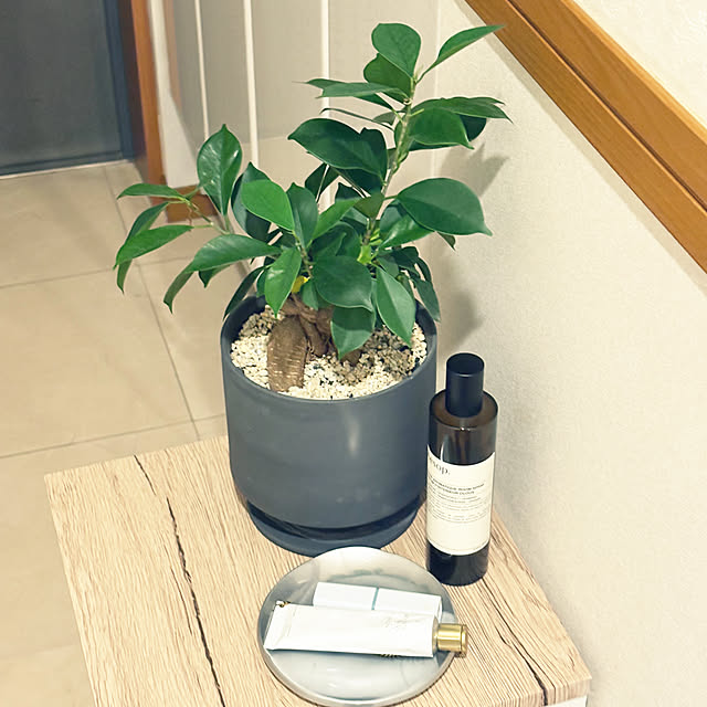 kawauso15さんの部屋