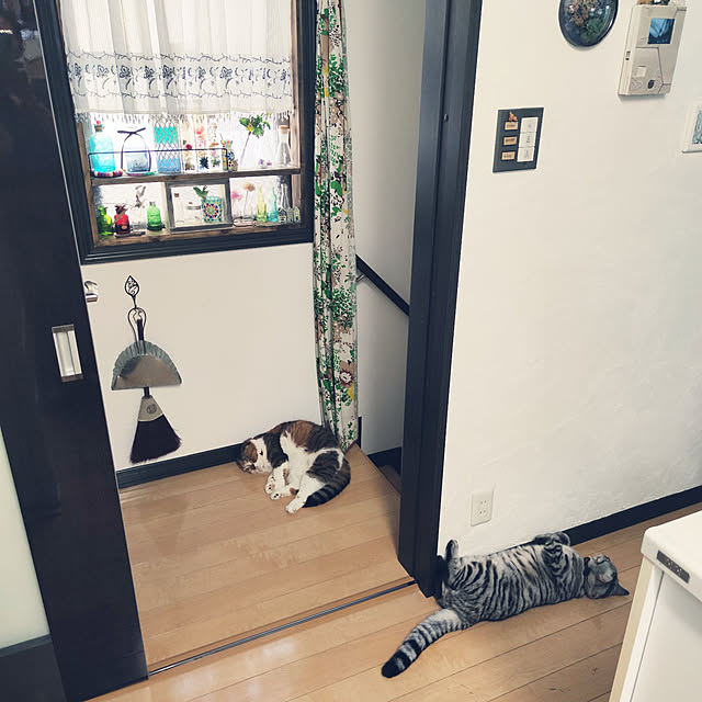 hiro3さんの実例写真