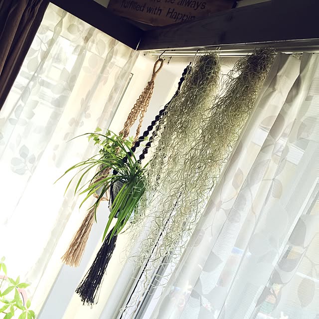 PUNさんの実例写真