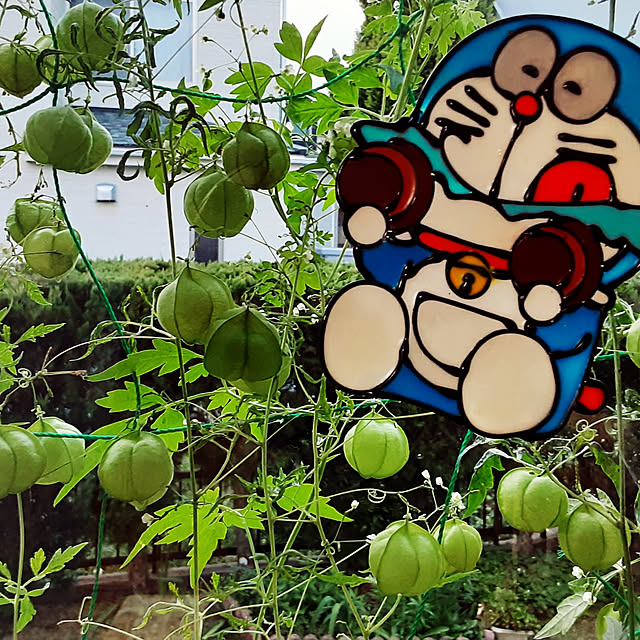 katさんの実例写真