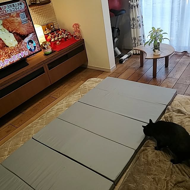 ramuramuさんの実例写真