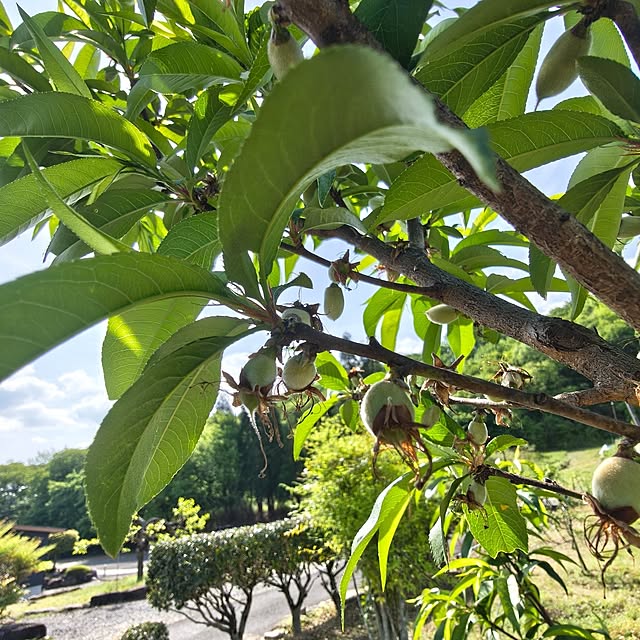 Rubiconさんの実例写真