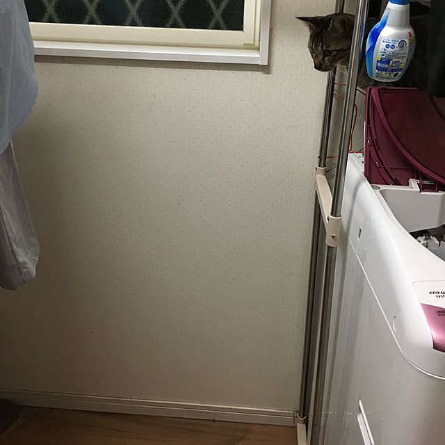 6RdvNqbtQskaiYlさんの実例写真