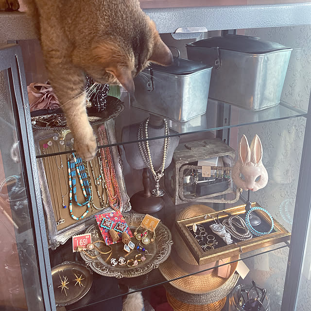 jill_lowさんの実例写真